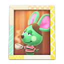 Animal Crossing Items Anicotti'S Photo Pop