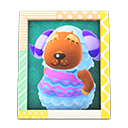 Animal Crossing Items Switch Baabara'S Photo