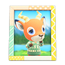 Animal Crossing Items Beau'S Photo Pop