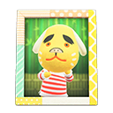 Animal Crossing Items Benjamin'S Photo Pop