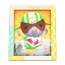 Animal Crossing Items Switch Big Top'S Photo