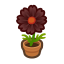 Animal Crossing Items Switch Black-cosmos Plant