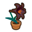 Animal Crossing Items Switch Black-lily Plant