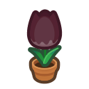 Animal Crossing Items Switch Black-tulip Plant