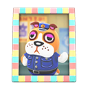 Animal Crossing Items Booker's photo Pastel