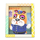 Animal Crossing Items Booker's photo Pop