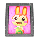 Animal Crossing Items Bunnie'S Photo Silver