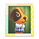 Animal Crossing Items Butch'S Photo Pop