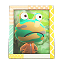 Animal Crossing Items Camofrog'S Photo Pop