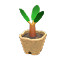 Animal Crossing Items Switch Cedar Sapling x10