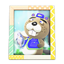 Animal Crossing Items Chip's photo Pop