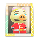 Animal Crossing Items Switch Chops'S Photo