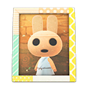 Animal Crossing Items Coco'S Photo Pop