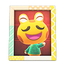 Animal Crossing Items Cousteau'S Photo Pop