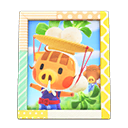 Animal Crossing Items Daisy Mae's photo Pop