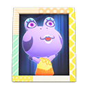 Animal Crossing Items Diva'S Photo Pop