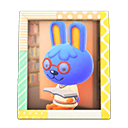 Animal Crossing Items Doc'S Photo Pop