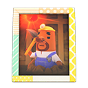 Animal Crossing Items Don's photo Pop