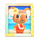 Animal Crossing Items Faith's photo Pop