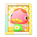 Animal Crossing Items Freckles'S Photo Pop