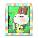 Animal Crossing Items Genji'S Photo Pastel