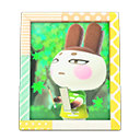 Animal Crossing Items Switch Genji'S Photo