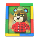 Animal Crossing Items Grizzly'S Photo Colorful