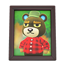 Animal Crossing Items Switch Grizzly'S Photo