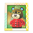 Animal Crossing Items Grizzly'S Photo Pop