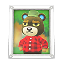 Animal Crossing Items Grizzly'S Photo White