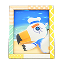 Animal Crossing Items Gulliver's photo Pop