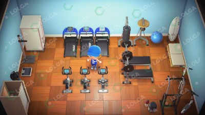 Animal Crossing Items Switch Gym