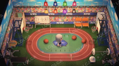 Animal Crossing Items Switch Gym 2