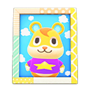 Animal Crossing Items Hamlet'S Photo Pop