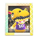 Animal Crossing Items Harry'S Photo Pop