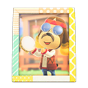 Animal Crossing Items Harvey's photo Pop