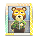 Animal Crossing Items Ike'S Photo Pop