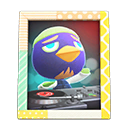 Animal Crossing Items Jacques'S Photo Pop