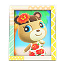 Animal Crossing Items June'S Photo Pop