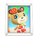 Animal Crossing Items Switch June'S Photo