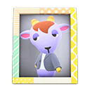 Animal Crossing Items Kidd'S Photo Pop