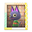 Animal Crossing Items Kiki'S Photo Pop