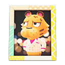 Animal Crossing Items Leonardo'S Photo Pop