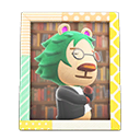 Animal Crossing Items Switch Leopold'S Photo