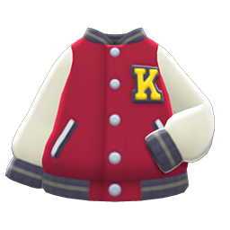 Animal Crossing Items Switch Letter Jacket