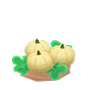 Animal Crossing Items Switch lg. white-pumpkin sprout