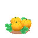 Animal Crossing Items Switch lg. yellow-pumpkin sprout