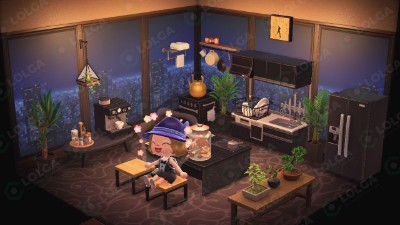 Animal Crossing Items Switch Modern Kitchen 8