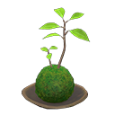 Animal Crossing Items Switch Moss Ball