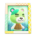 Animal Crossing Items Switch Murphy'S Photo